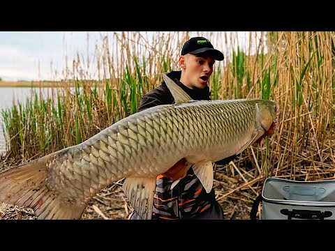 Видео: В ЭТУ ПРОТОКУ ЗАШЛИ МОНСТРЫ С ДНЕПРА! Уха на природе и клёв карася. Рыбалка весной на карася 2025
