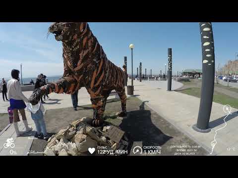 Видео: 02.05.2023 Владивосток. Набережная - Эгершельд. Улица Сипягина, Перекопский переулок.