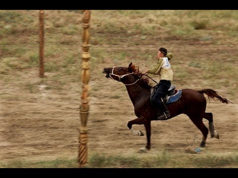 Видео: Аът чарыжы, сентябрь 2 (2019) эки турачыларга тураскааткан