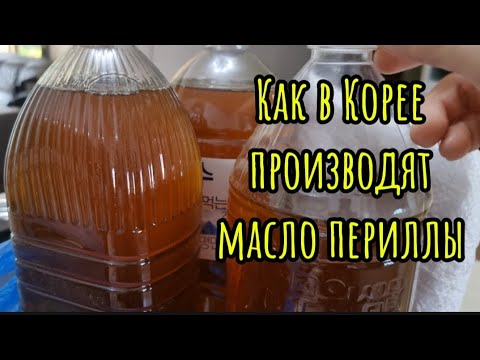 Видео: Как в Корее производят масло периллы #жизньвюжнойкорее #жизньвдеревне