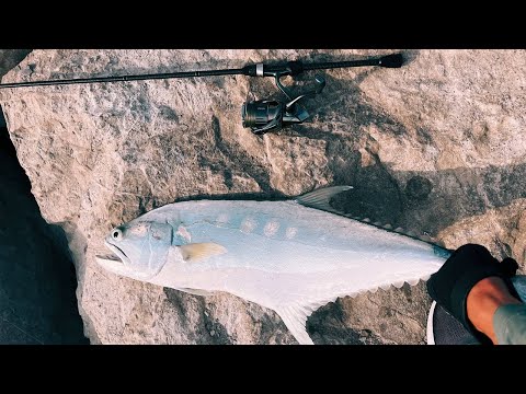 Видео: ТРОФЕЙНЫЙ рокфишинг! Рыбалка на ультралайт в заливе Дубая 2025!