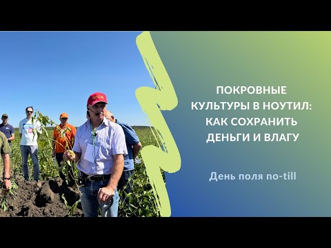 Видео: Покровные культуры в ноутил: как сохранить деньги и влагу | День поля no-till