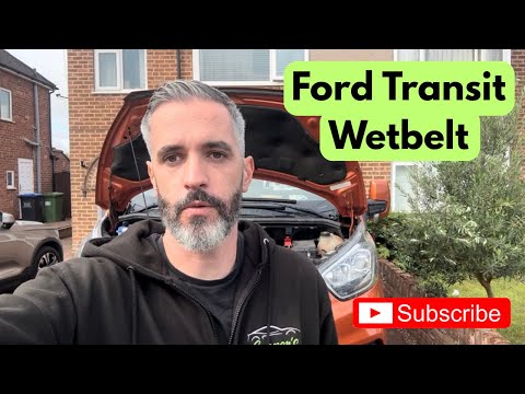 Видео: ЗАМЕНА МОКРОГО РЕМНЯ ГРМ НА FORD TRANSIT!