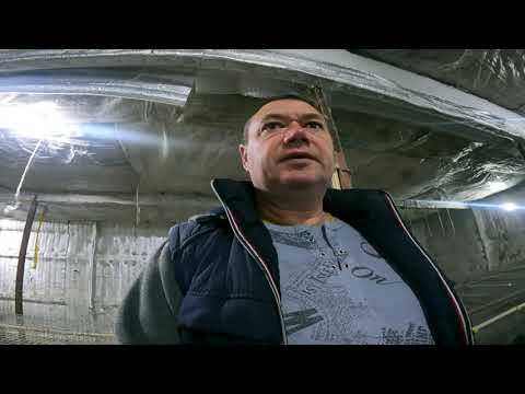 Видео: Лучшая порода в моём хозяйстве.