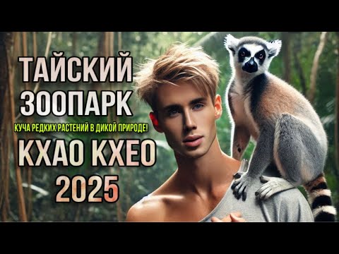 Видео: ЗООПАРК КХАО КХЕО ТАИЛАНД, ПАТТАЙЯ 🦩🦧 ОСТРОВ ЛЕМУРОВ 🤩 KHAO KHEOW OPEN ZOO 2025 🦛🦒🐅
