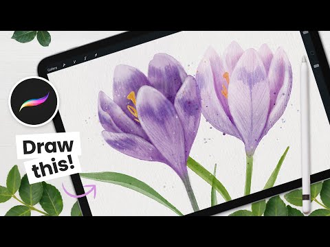 Видео: Как рисовать: акварельный крокус (цветок) • Учебник Procreate