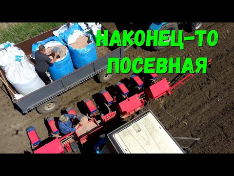 Видео: Посев Кукурузы на Зерно в Апреле / Кукурузное Поле / Посевная 2022