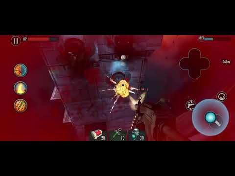 Видео: 11 ноября 2025 г.