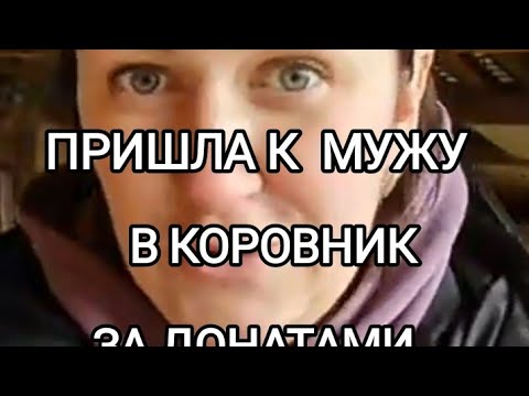 Видео: Деревенский дневник очень многодетной мамы ЛЕЛИ БЫКОВОЙ. Обзор стрима.