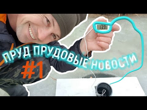 Видео: Пруд прудовые новости | Обогреватель лунки #2