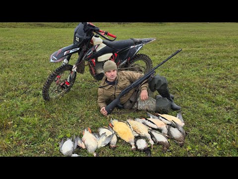 Видео: ОХОТА НА УТКУ С ПОДХОДА / ЗАГОТОВИЛ МЯСО НА ЗИМУ/ЛУЧШАЯ ОХОТА СЕЗОНА. ДОБЫЧА УТКИ  НА СЕВЕРЕ.