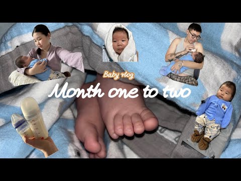 Видео: 1-2 months // Хүүдээ зориулав