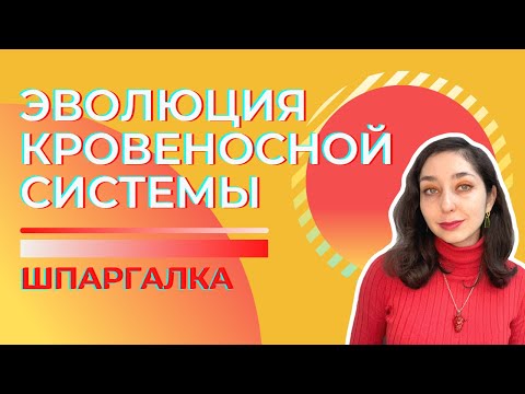 Видео: Кровеносная система животных, эволюция — Шпаргалка. ЦТ, ЕГЭ, ЗНО.