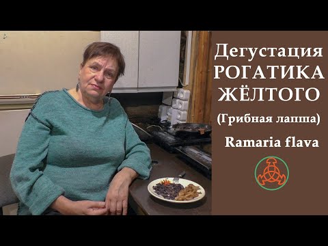 Видео: Дегустация РОГАТИКА ЖЁЛТОГО (грибная лапша). Ramaria flava