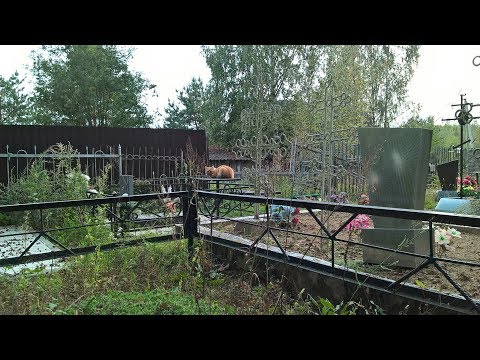 Видео: Деревенское кладбище. Памятники. Кресты.