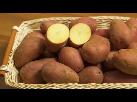 Видео: Высадка рассады в теплицу | Битва теплиц 4-й сезон