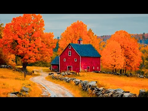 Видео: Расслабляющая и успокаивающая музыка🌺Лечебная музыка для сердца и сосудов🌿Музыка Сергея Грищука