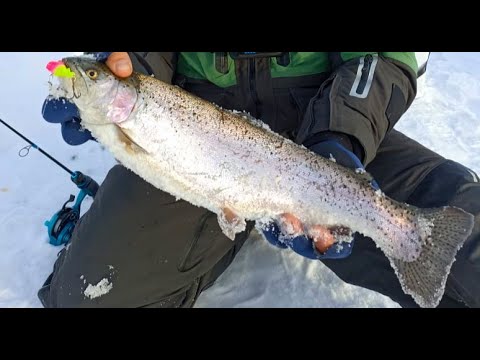 Видео: СМЕКАЛКА ВЫРУЧАЕТ!!! На ЧТО и КАК ловить ФОРЕЛЬ?? Самый эффективный ЗАПРЕЩЁННЫЙ СПОСОБ ловли форели.