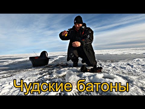 Видео: Рыбалка на Чудском озере!Вот это батоны на опарыша