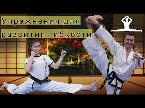 Видео: Упражнения для развития гибкости в единоборствах