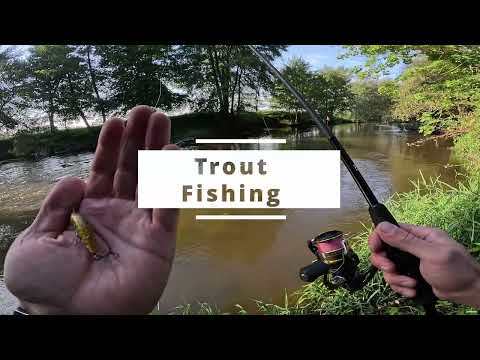 Видео: [Trout Fishing] Форель На Воблеры 4K