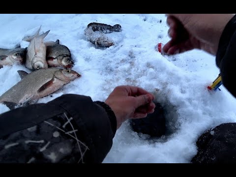 Видео: КРУПНЯК ОДИН ЗА ОДНИМ С ЛУНКИ!! С ДЕВУШКОЙ НА РЫБАЛКЕ, Первый лед 2024-2025