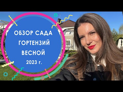 Видео: Обзор сада гортензий весной 2023 г. | КП "Никольские Озёра"