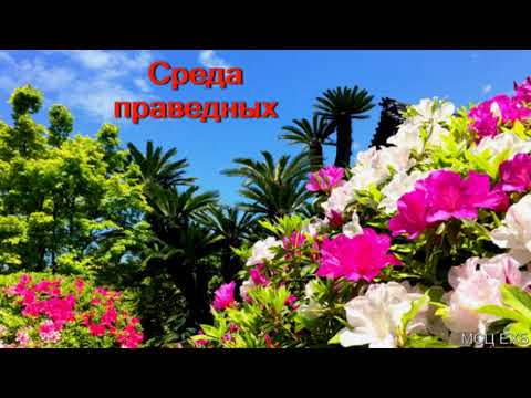 Видео: "Среда праведных". В. Н. Чухонцев. МСЦ ЕХБ