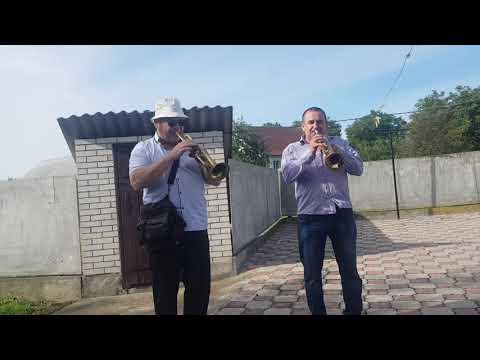 Видео: Весілля, с.Дмитрушки (переход)