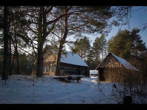 Видео: Часть 2. д. Чановичи -д. Комли. Полтево.