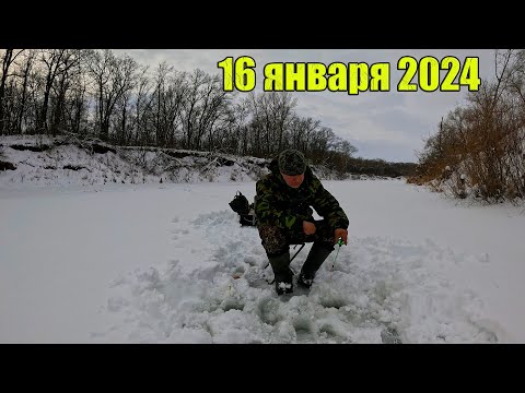 Видео: Зимняя рыбалка на речке 16 января 2024