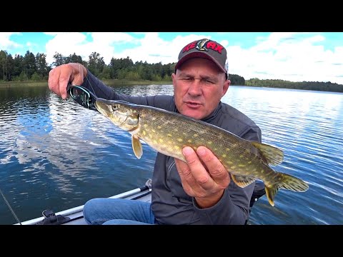 Видео: Рыбалка как она есть//Август!