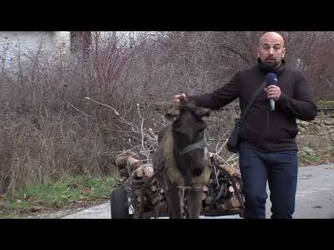 Видео: Мое село - Богомила