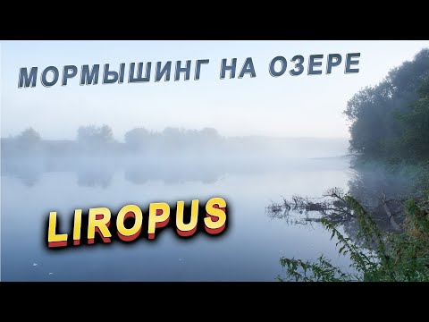 Видео: Dayo Liropus / Мормышинг на озере / Белая рыба