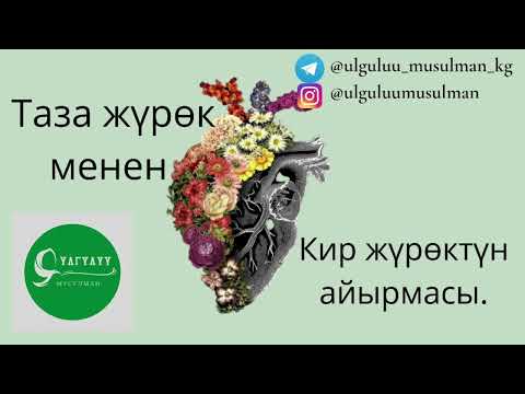 Видео: Жүрөктү кантип тазалайбыз? жан дүйнө тынчтыгы, руханий байлык.