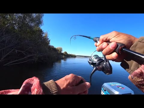 Видео: Не зря заехал в лютый коряжник. Рыбалка в Октябре на Оке на Спиннинг!