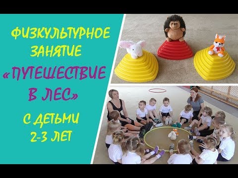 Видео: Физкультурное занятие "Путешествие в лес" с детьми 2-3 лет, д/с №273 г. Минска