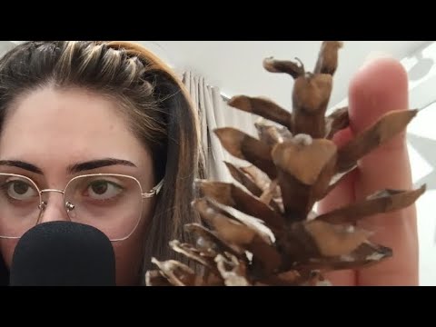 Видео: ASMR осенне-лесные находки 