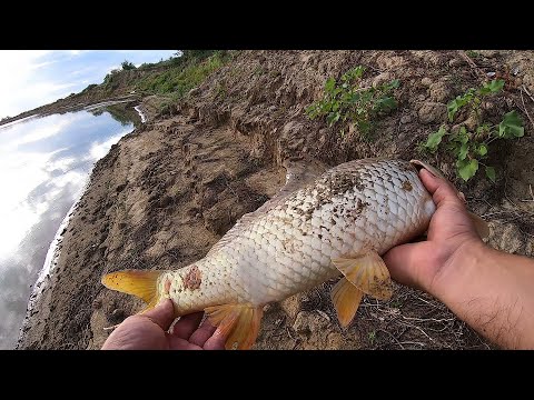 Видео: Рыбалка на реке Жайык. В поиске новых клёвых локаций.