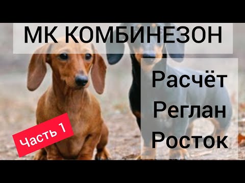 Видео: ❤️МК комбинезон для таксы девочки/ MK Overalls for dachshund girls