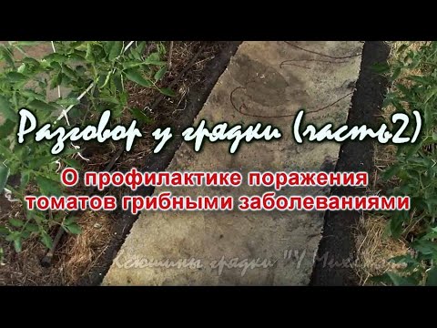 Видео: ИЮНЬ НА ДАЧЕ.    Разговор у грядки ( часть 2). О профилактике грибных болезней.
