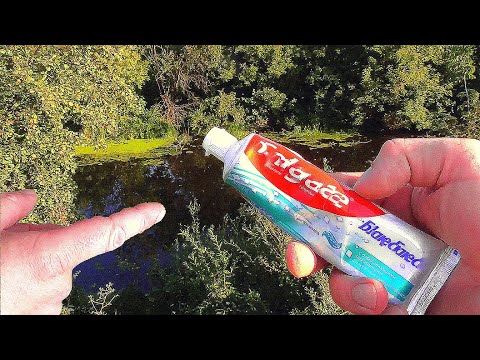Видео: Реакция рыбы на Зубную пасту! Подводная съемка