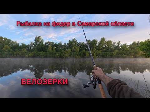 Видео: РЫБАЛКА НА ФИДЕР В САМАРСКОЙ ОБЛАСТИ НА РЕКЕ СОК В БЕЛОЗЕРКАХ. 24.05.25.
