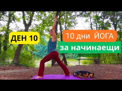 Видео: 15 минути Йога за цялото тяло - сила, гъвкавост и покой I Ден 10 -  Предизвикателство за начинаещи