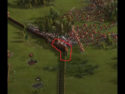 Видео: попытка обмануть хлоднокровных 400 ,приводит...