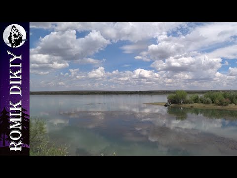 Видео: Первый летний выезд на р.Или. 6-7 июля 2024г