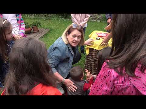 Видео: Разлог. Престъпулка