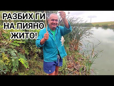 Видео: РИБА СЛЕД РИБА, ОТ ЕДРА ПО - ЕДРА! ВЪЛНУВАЩ РИБОЛОВ НА РАКИЕНО ЖИТО И ХЛЯБ! РАЗКАЗАХ ИМ ИГРАТА...