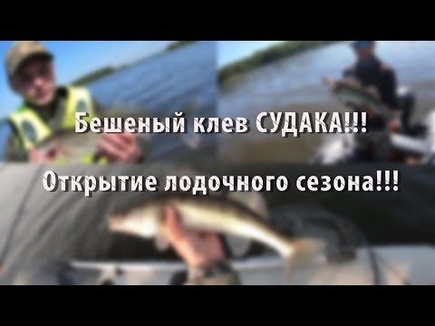 Видео: Бешеный клев СУДАКА!!! Открытие лодочного сезона!!! 16.06.2022