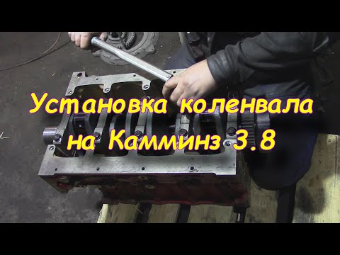 Видео: Установка коленвала Камминз Cummins 3.8 | Затяжка нижников Камминз Cummins 3.8 |Ремонт двигателя